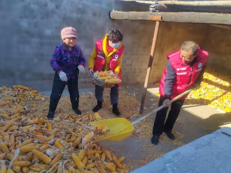 【固阳县】【固阳县新时代文明实践一周快讯】