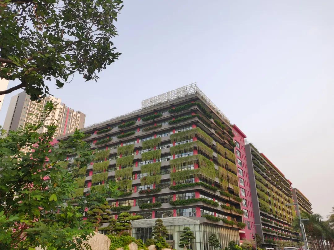 碧桂园发布机器人,碧桂园机器人突围路径