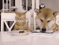 搞笑gif你们这些城里人太会玩了,搞笑gif逗比的世界你永远理解不了