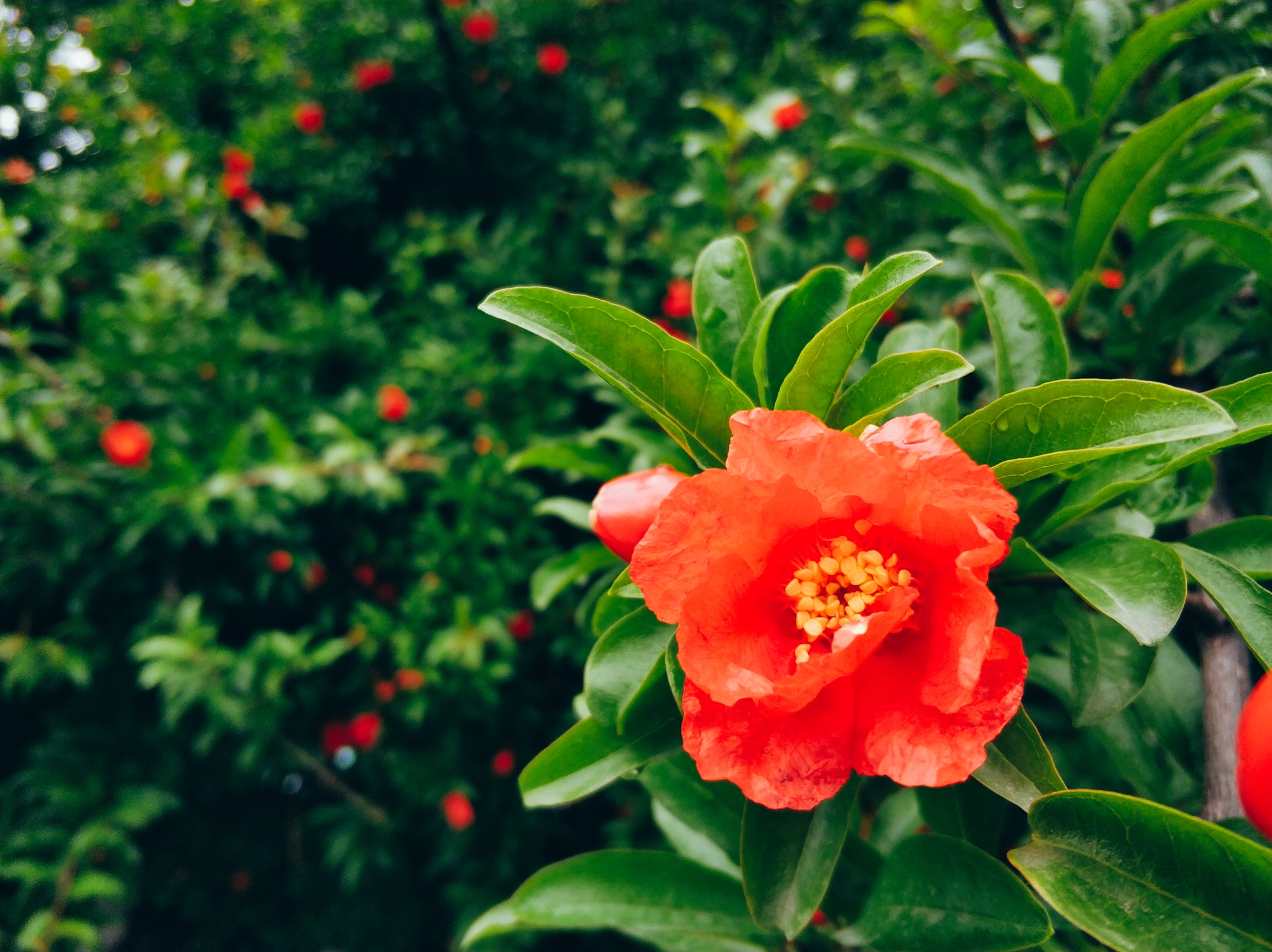 川藏线骑行从成都还是拉萨开始,318川藏线成都到拉萨骑行赛