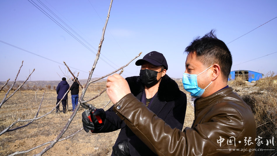 【疫情防控甘肃在行动】战“疫”不误农事：直击一个乡的疫情防控阻击战