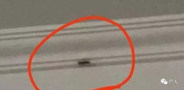 外卖小哥悲惨遭遇 (外卖小哥的各种遭遇)