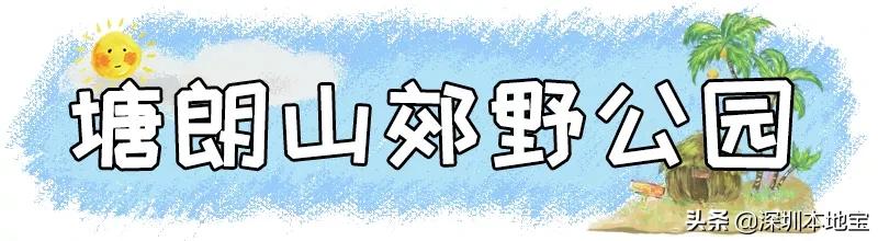 深圳最值得免费去的十大景点,深圳有哪些地方是免费景点