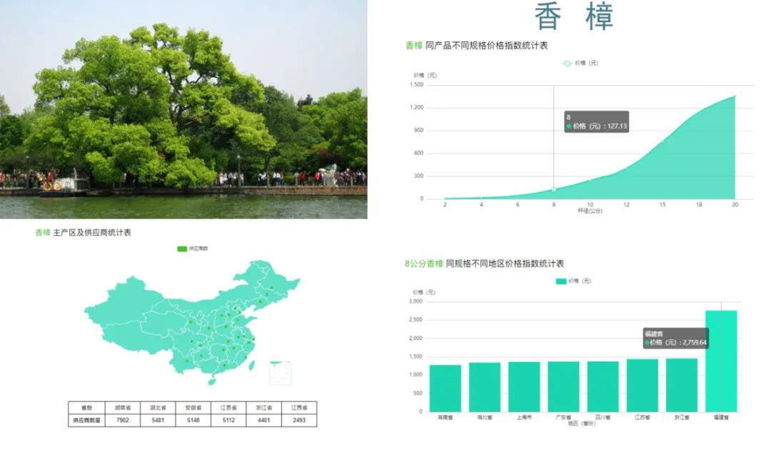 最贵的树种排名与价格,园林苗木骗局曝光案例最新