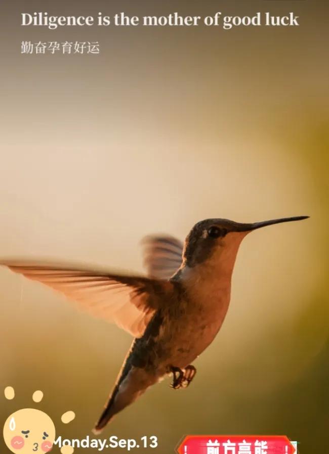 看两个真题，一天记两个单词（诚实）