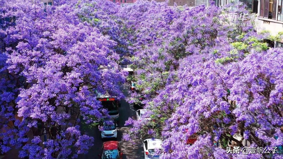 被大理的美景所折服,被丽江的风景美到了