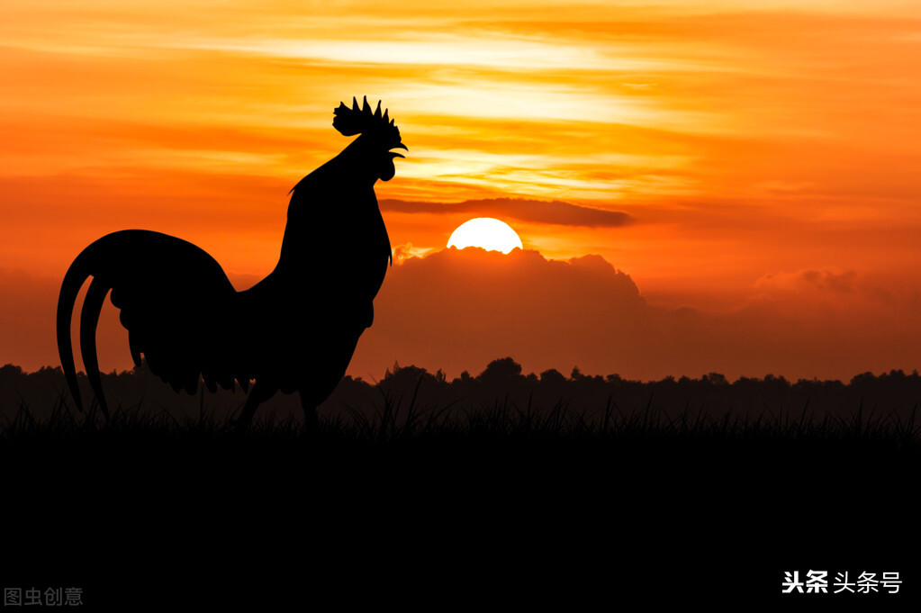 诗经郑风女曰鸡鸣注音版,郑风女曰鸡鸣全文拼音