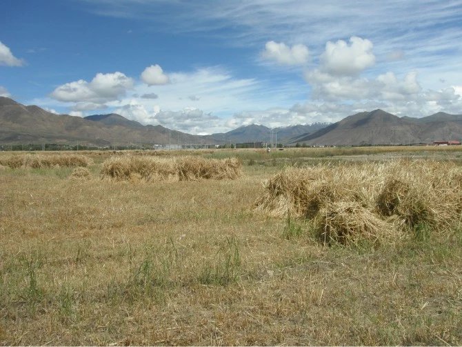 女孩独自一个人去旅游的心理,独自一人去西藏在哪里最好