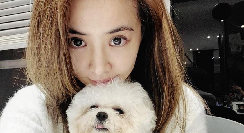 蔡依林深夜发夹自拍照,蔡依林晒超大胆造型曾被嘲造型