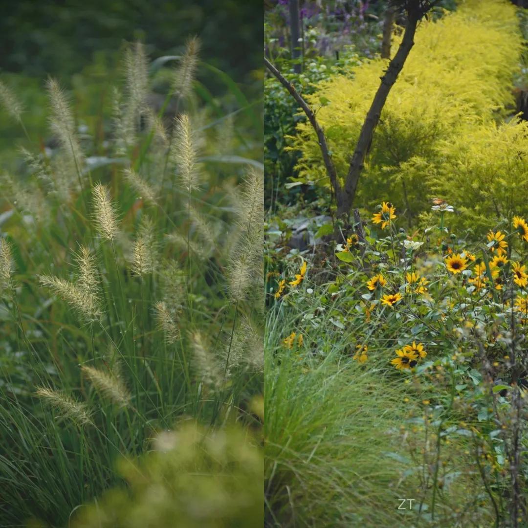 90后男孩住进郊区老屋，徒手打造400㎡自然花园，里面装满小精灵