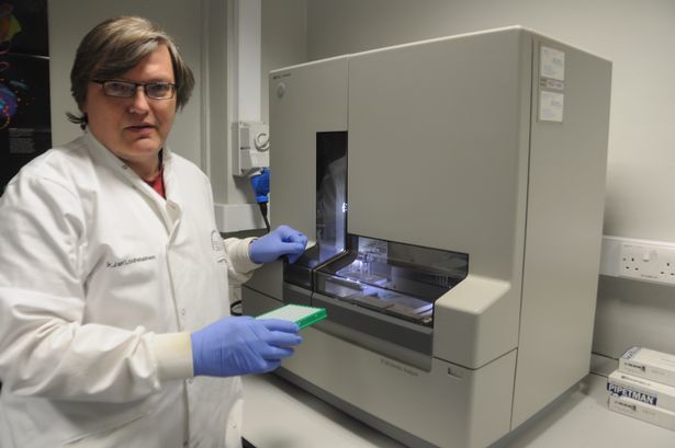 dna破案电视剧,dna破案电影