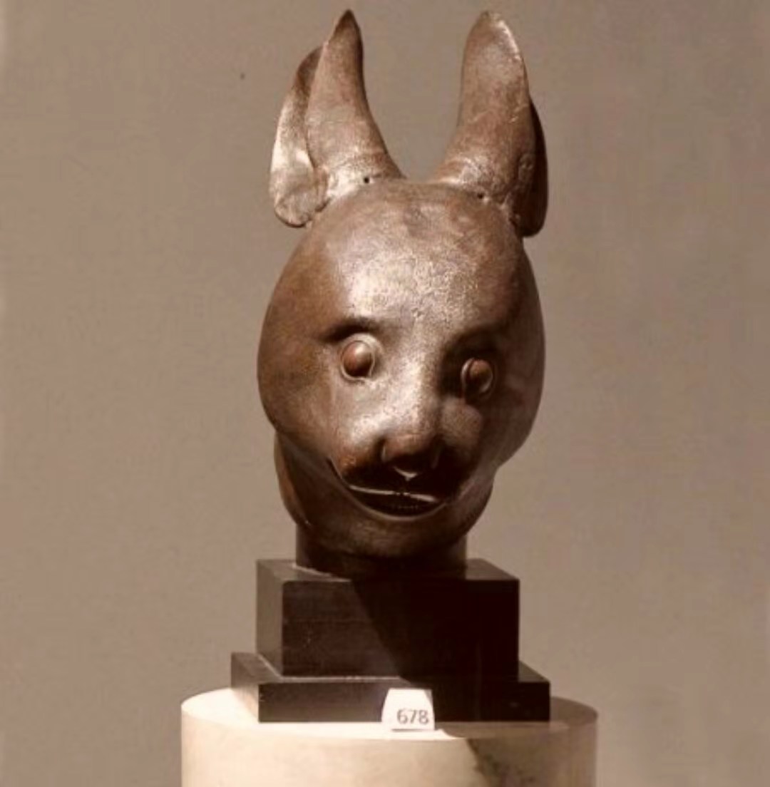 兔为什么叫玉兔,白兔为什么叫白兔