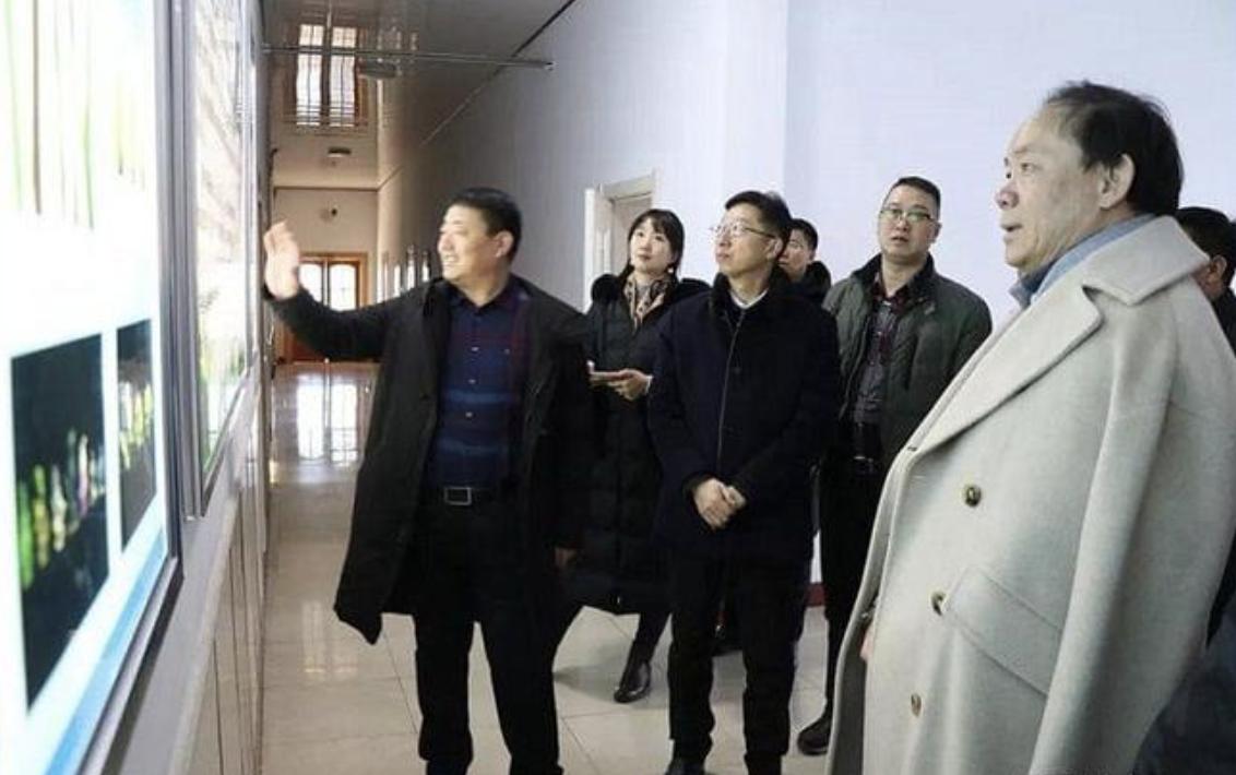 广东隐形富豪白手起家,湛江首富背后的隐世江湖