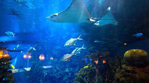 动物园附近周末去哪玩,周末两天亲子游好去处动物园