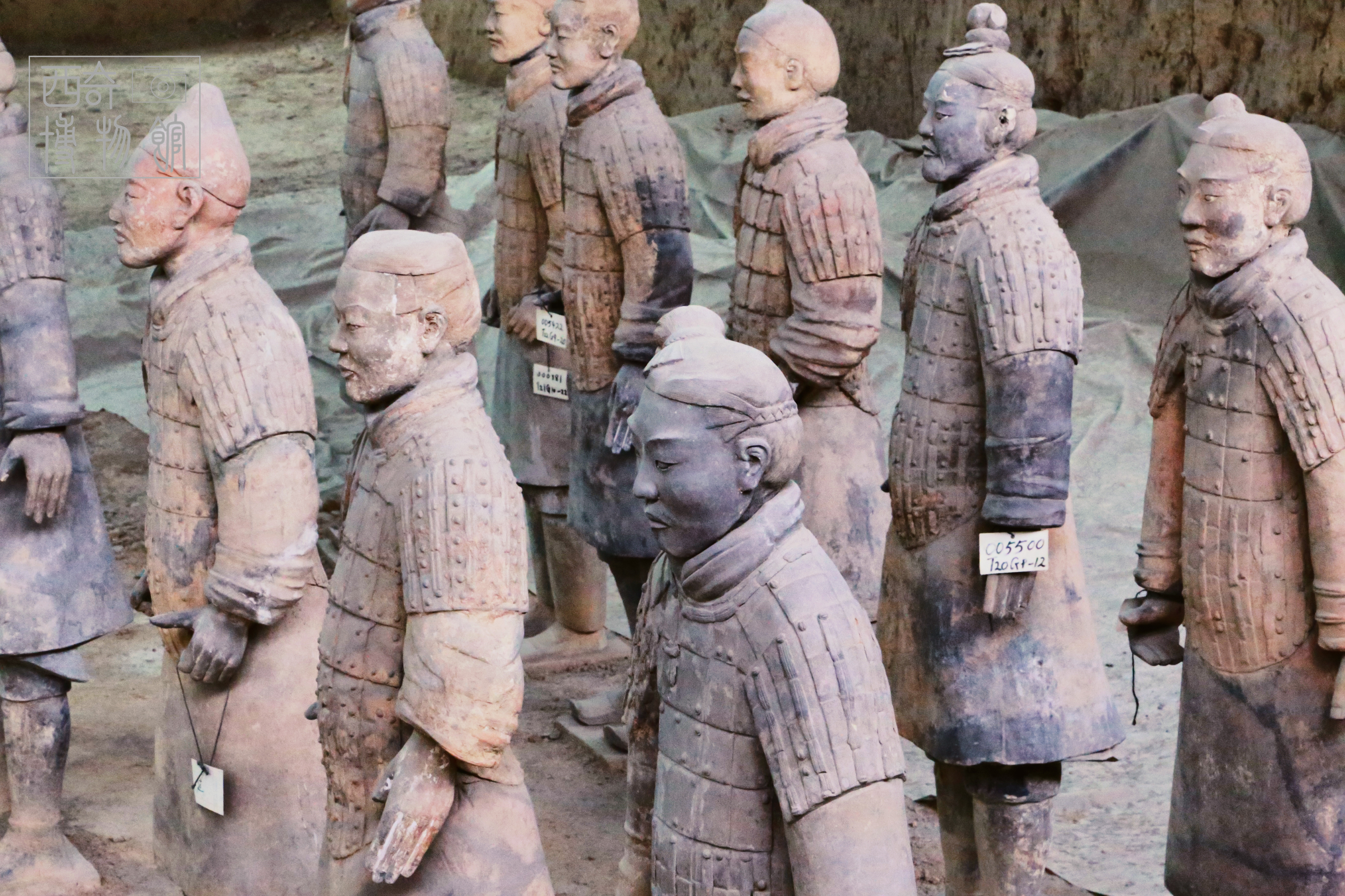 沉迷手办危害,沉迷手办无法自拔