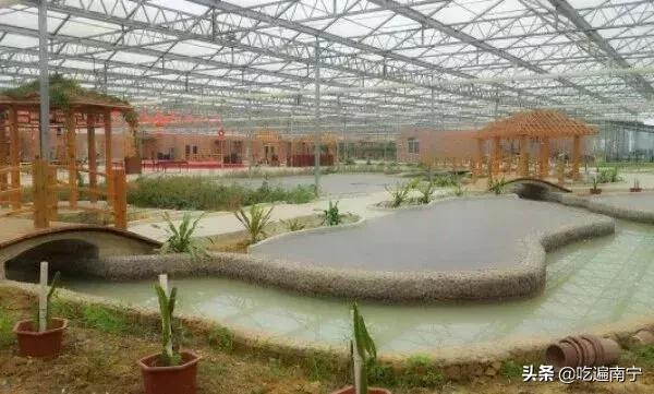 南宁农家乐烧烤地点推荐,南宁市周边农家乐窑鸡