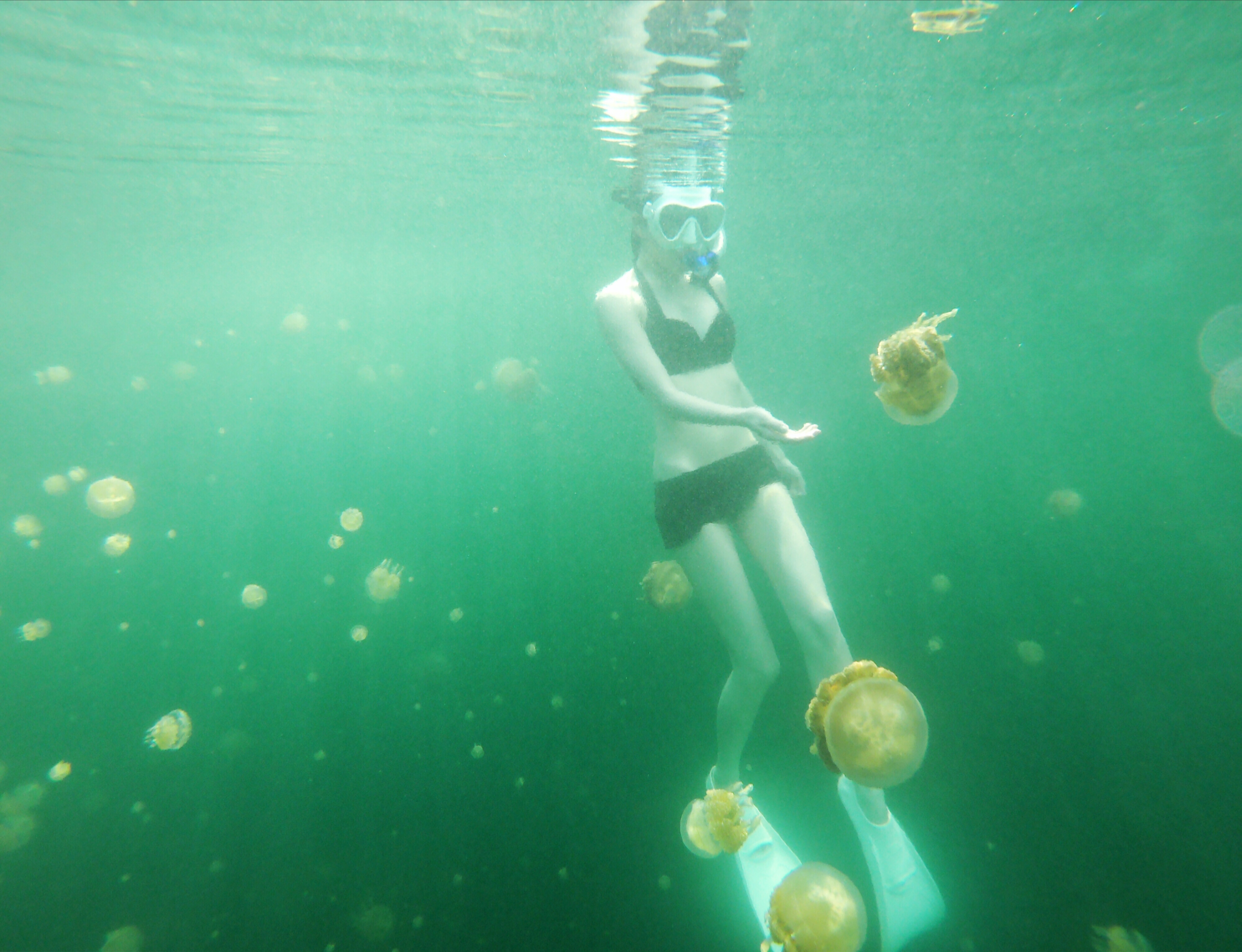 帕劳必去旅游景点,帕劳旅游攻略必看