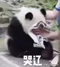 代写作业,13岁女孩月入过万!却因字迹过于工整,被“举报”了