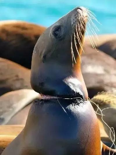 巴厘岛最垃圾的海滩,巴厘岛度假胜地