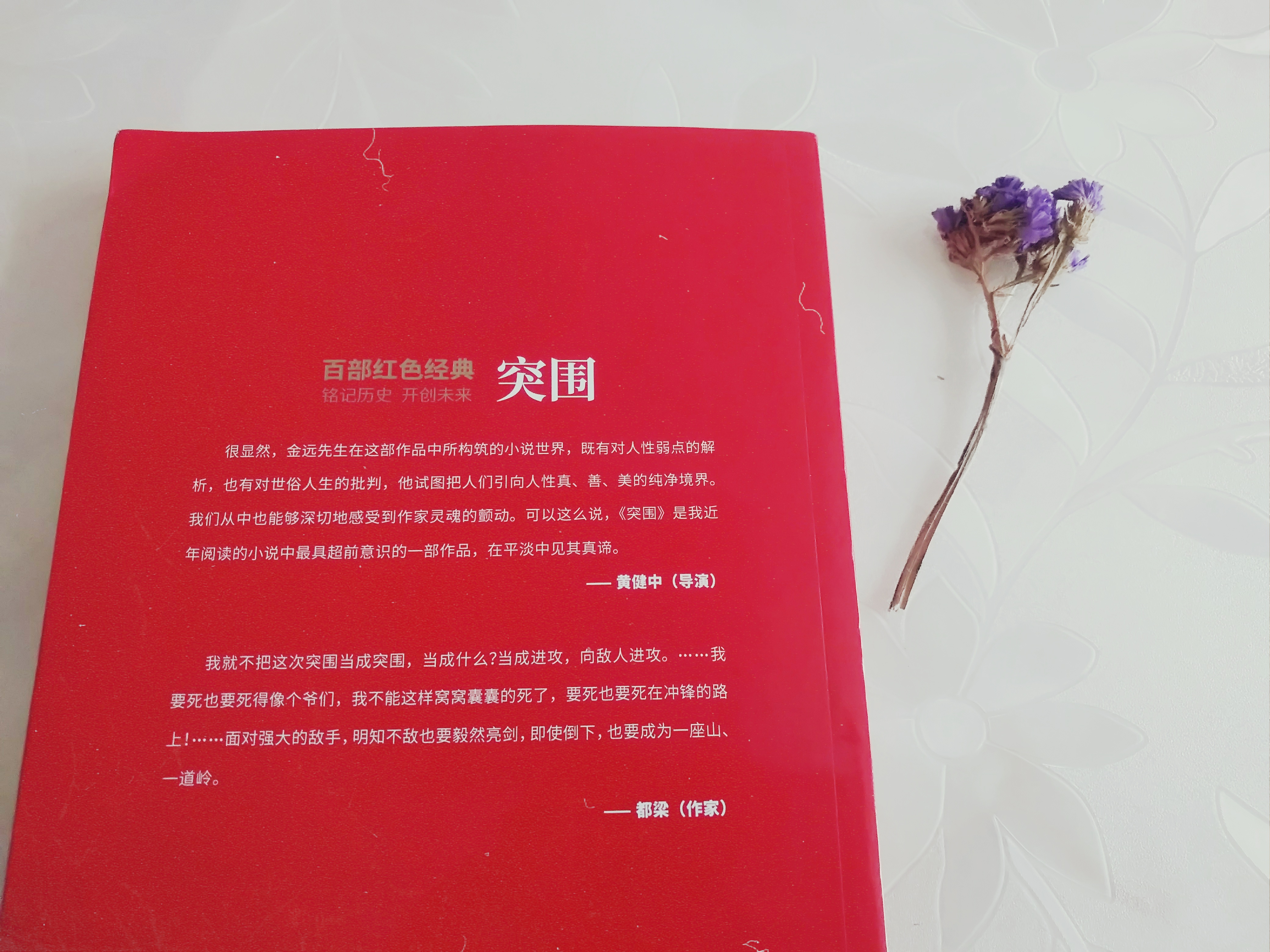 《突围》：洞房花烛夜，陈池龙被套上两道枷锁，他需用一生去突围