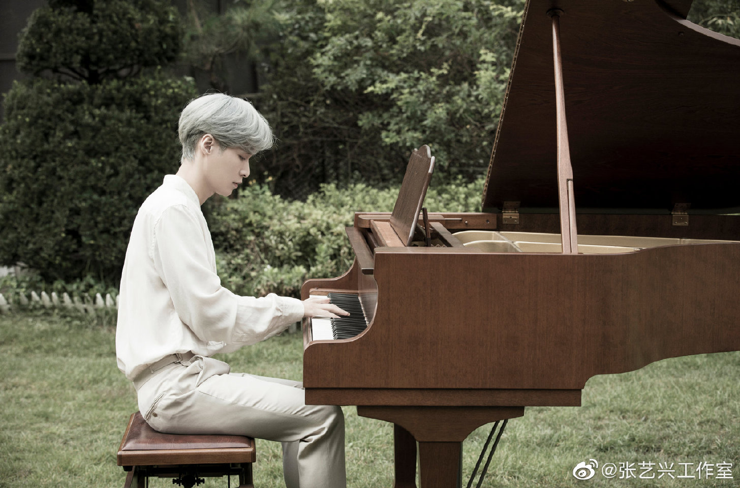 我眼中的张艺兴,我眼中的张艺兴800字