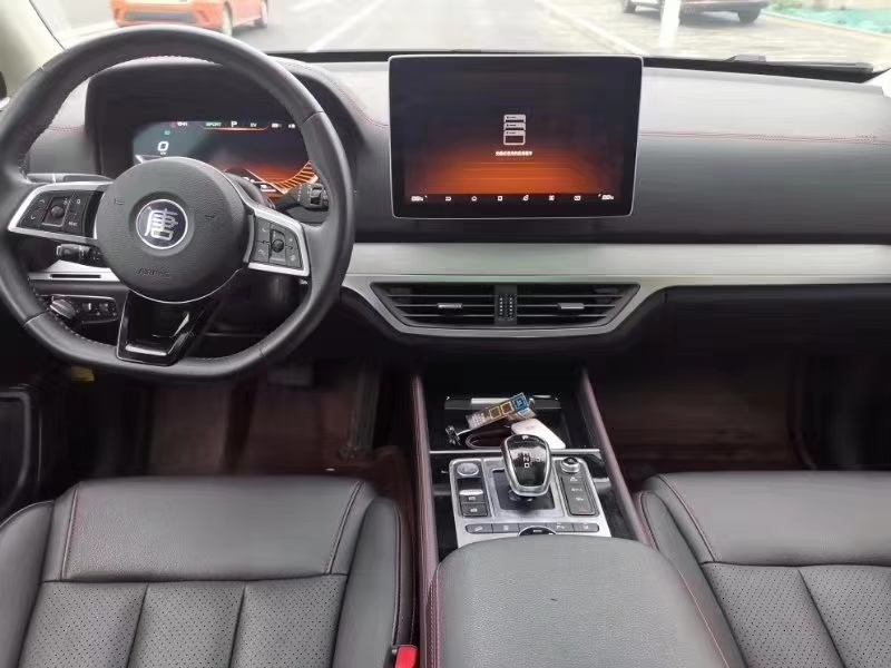 多种新能源,新能源汽车牌照样式