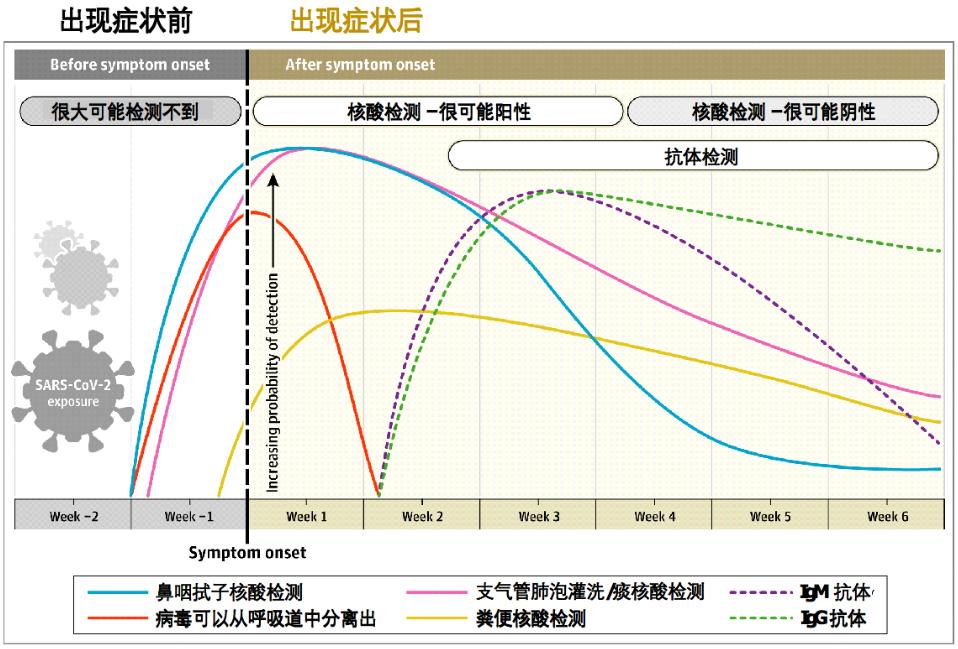 开棺验尸：各国到底何时起出现新冠病毒感染|117疫情观察