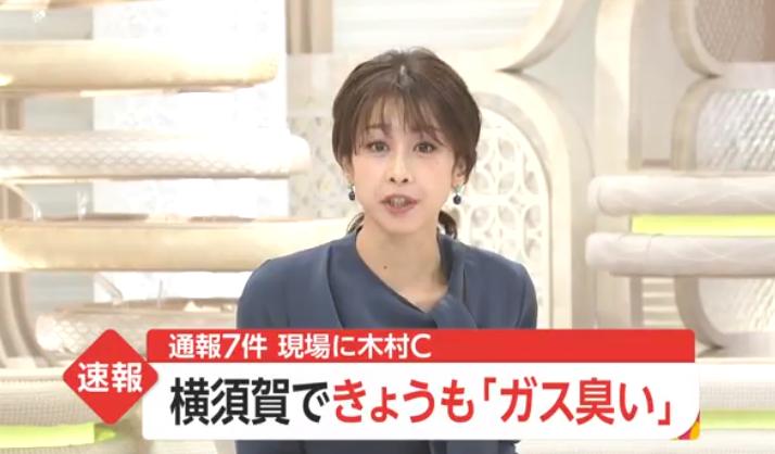 日本海岸现大量鱼尸体,日本海滩惊现大量乌贼尸体