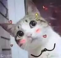 广东秋天看红叶的地方,广东深秋红叶有多漂亮