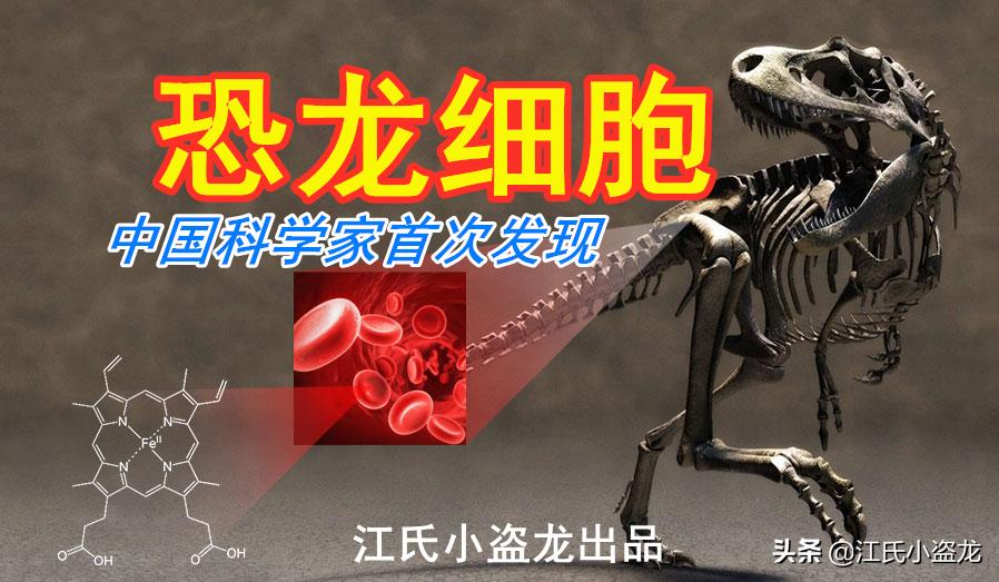 中国科学家揭秘恐龙皮肤化石,科学家用恐龙化石克隆出一只恐龙