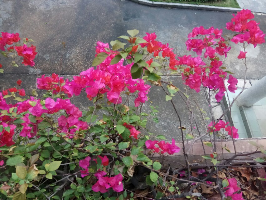 岭南的回南天,岭南雾天回南天