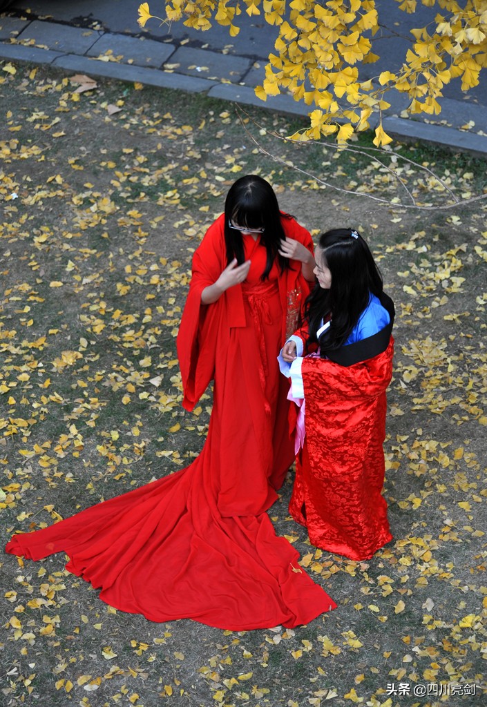 致敬无悔的青春,致敬无悔的青春完整版