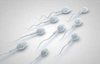 论当我还是一颗精子时,是如何跨越重重阻碍与“她”相遇