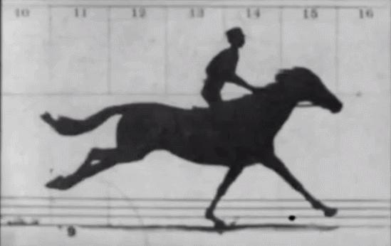 2秒就结束，3天3夜看不完……这几部电影，颠覆认知，99%的人都没看过