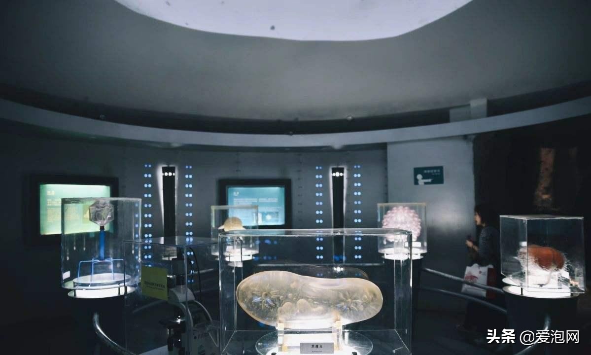 上海科技馆游玩攻略,上海科技馆亲子游玩攻略