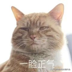 遇见鬼该怎么办搞笑,遇见鬼怎么办怎么自救