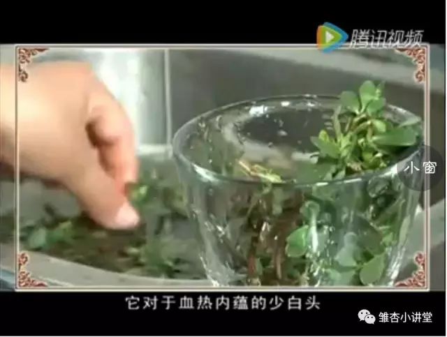 白发的克星是什么野菜,哪种野菜是白发克星