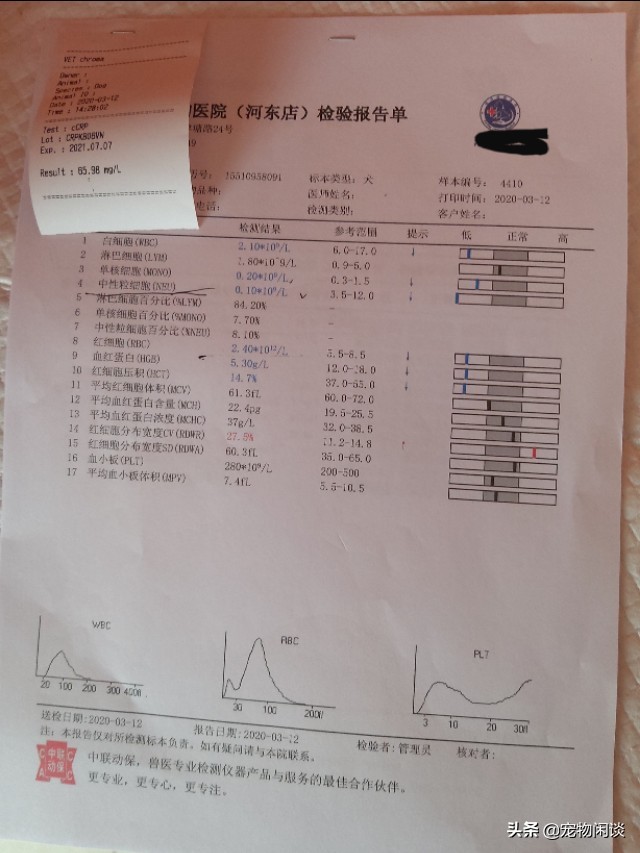 【警惕】好心救小奶狗,三天后死于肺炎!怎样能避免好心办坏事?