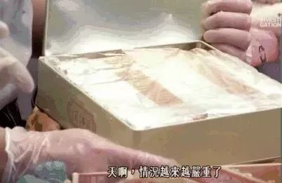澳洲入境禁带哪些食品,入境澳洲带零食会罚款多少