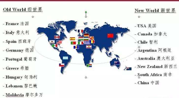 尼雅葡萄酒怎么辨别真假,西班牙真假葡萄酒怎么辨别