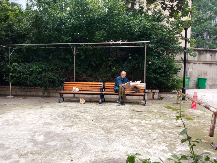 redmi值得入手千元机,redmi超高性价比