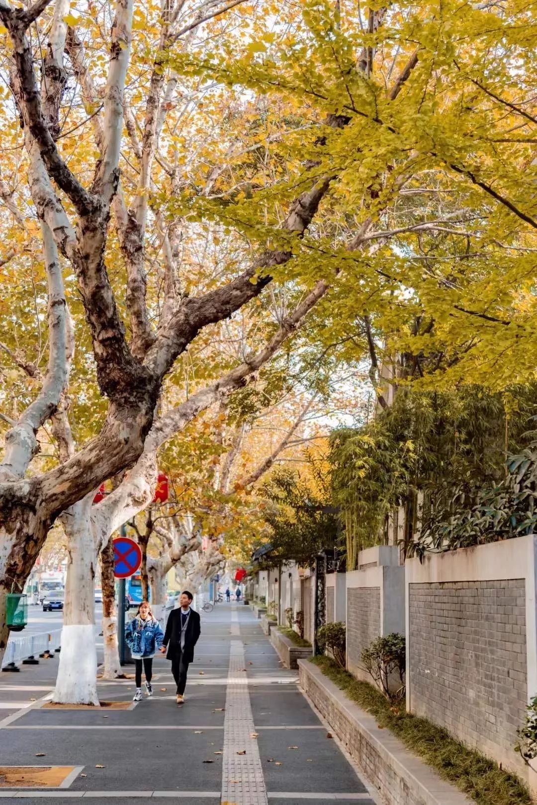 南京值得去生活吗,在南京生活15年的感受