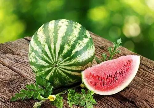 情感|种下了就有希望|文之萧