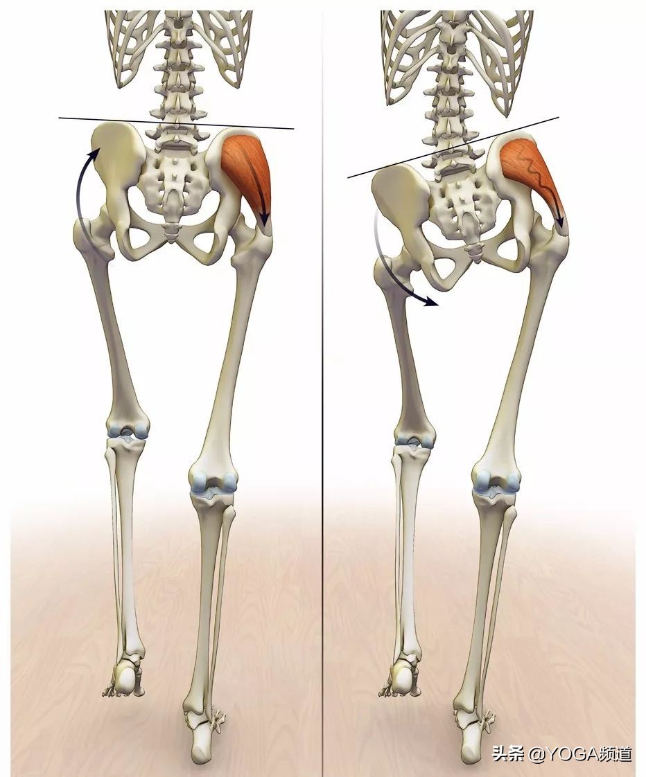 练瑜伽怎么改善一弯腰就拱背,瑜伽如何纠正骨盆旋转和侧移