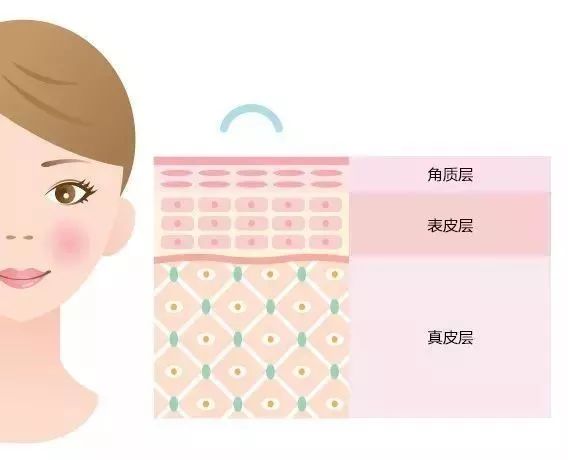 冬天面部角质层薄起皮泛红,换季敏感皮肤泛红脱皮怎么办