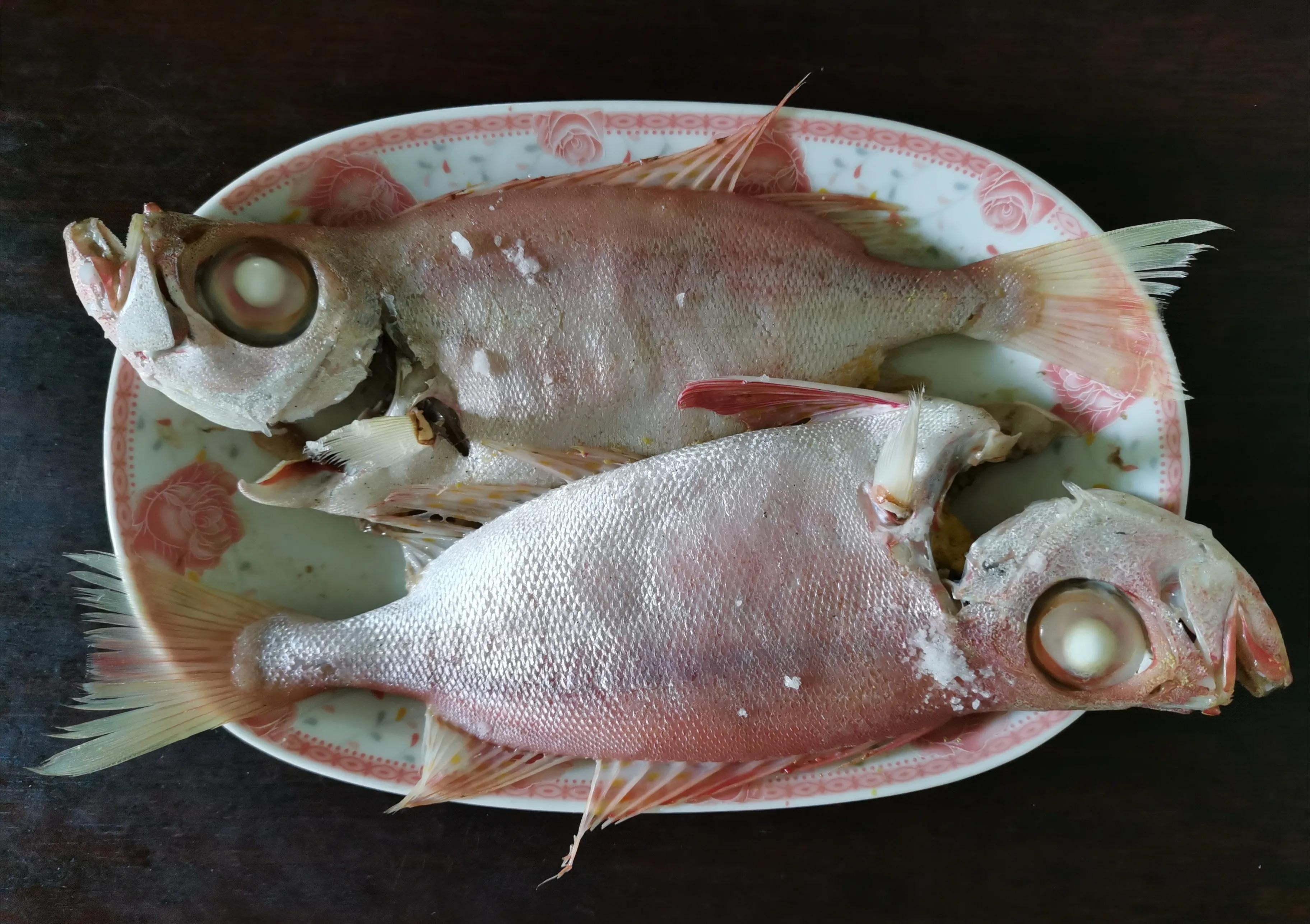 潮汕什么鱼做刺身最好吃,潮汕的鱼哪种适合刺身