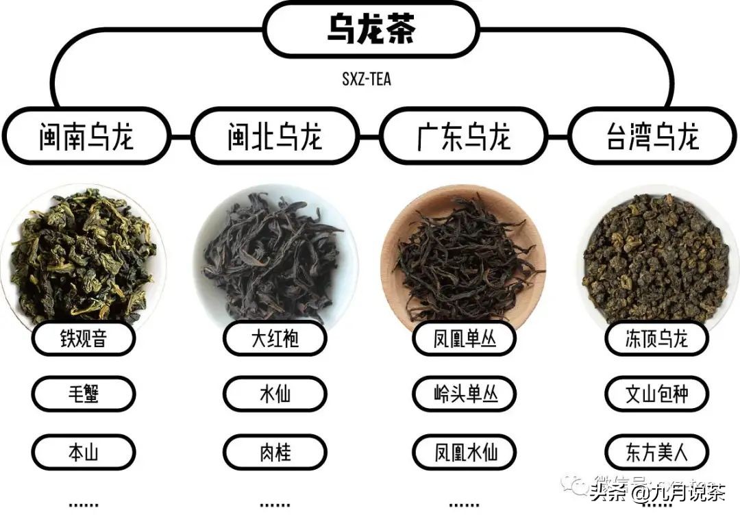 5分钟读懂白茶,5分钟看懂茶文化
