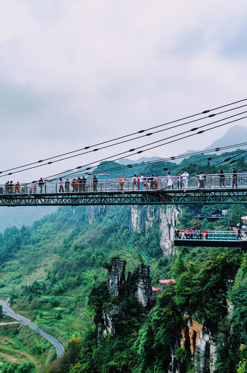 去奥陶纪的路线,梦幻奥陶纪景区路线