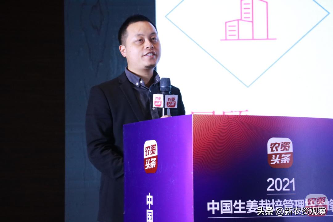 生姜栽培管理新技术,中国生姜栽培管理技术峰会