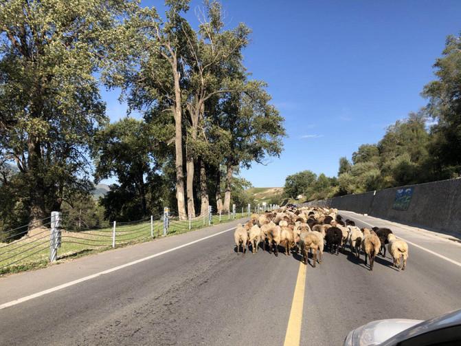 一家四口暑假日常之去游乐场,暑期全家一起大东北出游超欢乐